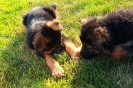 Ammo & Mona_3