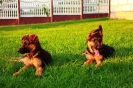 Ammo & Mona 2014 cz.2
