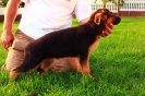 Wirus_Yaga_2014_18