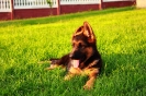 Wirus_Yaga_2014_19