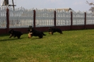 Collorado & Xira_38