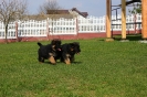 Collorado & Xira_48