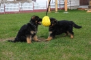 Collorado & Xira_53