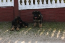 Collorado & Xira_61
