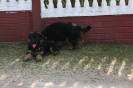 Collorado & Xira_62