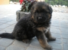 Flip & Xira_16