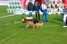 BALTIC SIEGER 2014_41