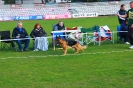 BALTIC SIEGER 2014_46