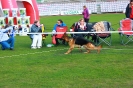 BALTIC SIEGER 2014_47