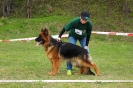 Dobre Miasto 2016_7