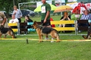 Grajewo 2015_100