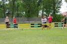 Grajewo 2015_102