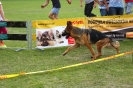 Grajewo 2015_104