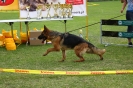 Grajewo 2015_115
