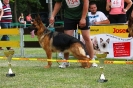 Grajewo 2015_116