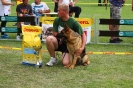 Grajewo 2015