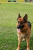 Grajewo 2015_126