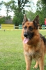Grajewo 2015_127