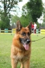 Grajewo 2015_128