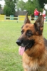 Grajewo 2015_129