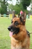 Grajewo 2015_130