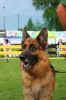 Grajewo 2015_133