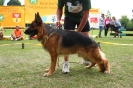 Grajewo 2015_134