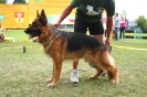 Grajewo 2015_135