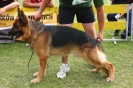 Grajewo 2015_137