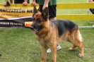 Grajewo 2015_138