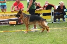 Grajewo 2015_139
