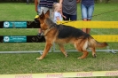 Grajewo 2015_142