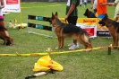 Grajewo 2015_144