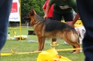 Grajewo 2015_145