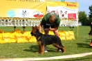 Grajewo 2015_27