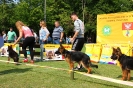 Grajewo 2015_28