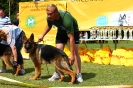 Grajewo 2015_43