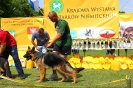 Grajewo 2015_47