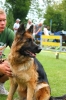 Grajewo 2015_74