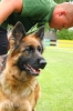 Grajewo 2015_75