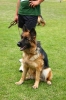 Grajewo 2015_77