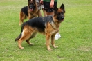 Grajewo 2015_78