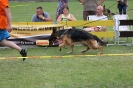 Grajewo 2015_85