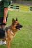 Grajewo 2015_90