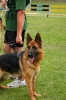 Grajewo 2015_91