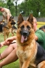 Grajewo 2015_92