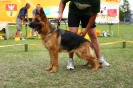 Grajewo 2015_96