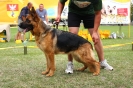 Grajewo 2015_97