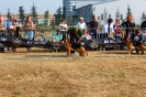 KON Przasnysz_18