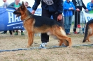 KON Przasnysz_45